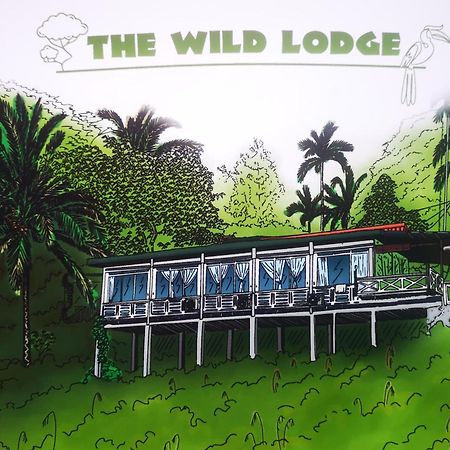 Wild Lodge Taman Negara Kuala Tahan Dış mekan fotoğraf