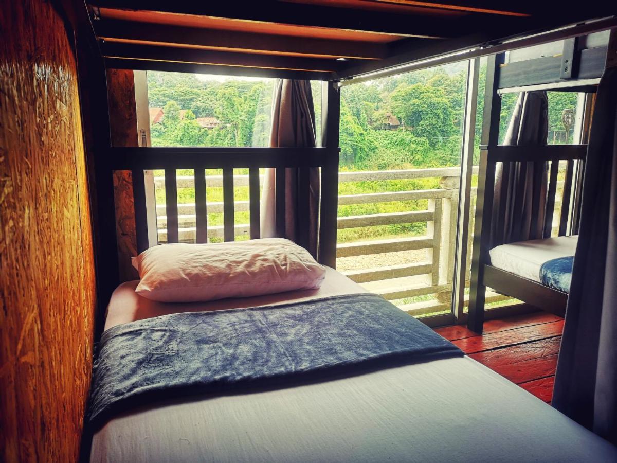 Wild Lodge Taman Negara Kuala Tahan Dış mekan fotoğraf