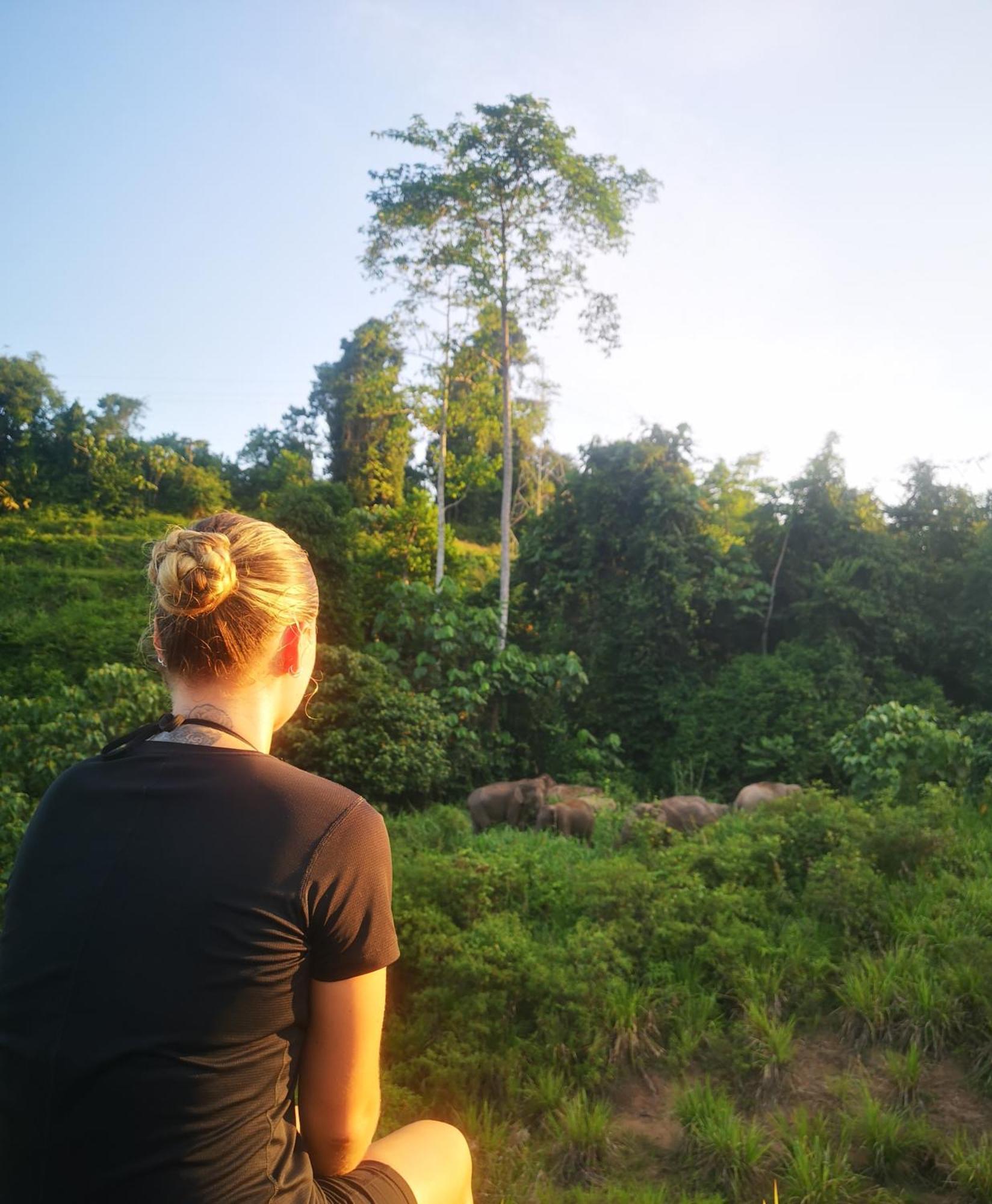 Wild Lodge Taman Negara Kuala Tahan Dış mekan fotoğraf